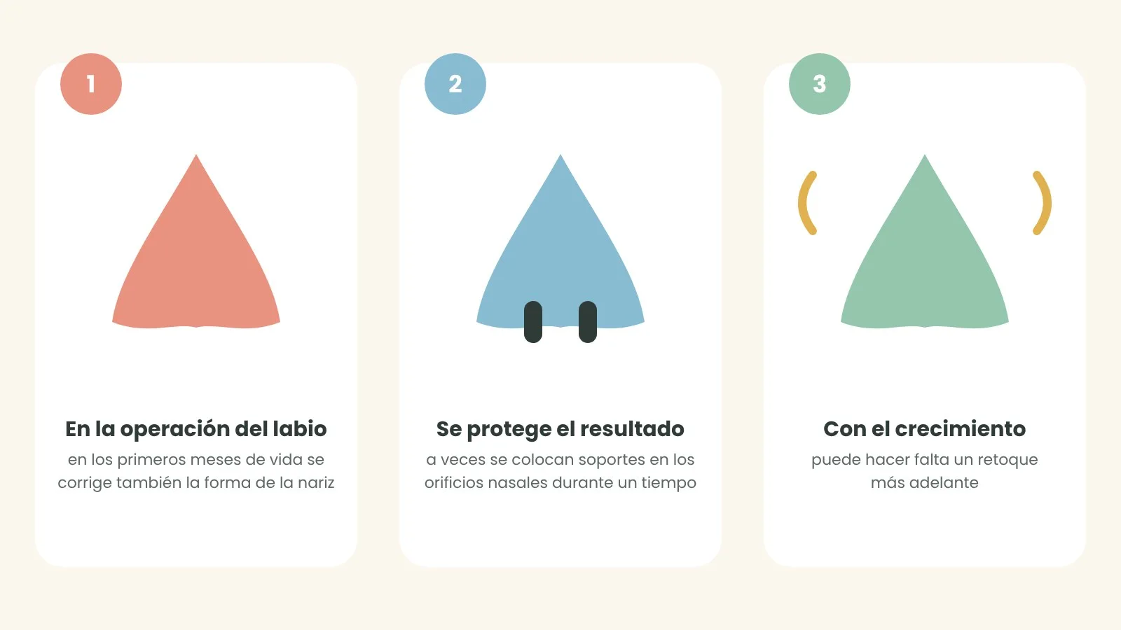 Pasos de la rinoplastia primaria. Ilustración: ASPANIF
