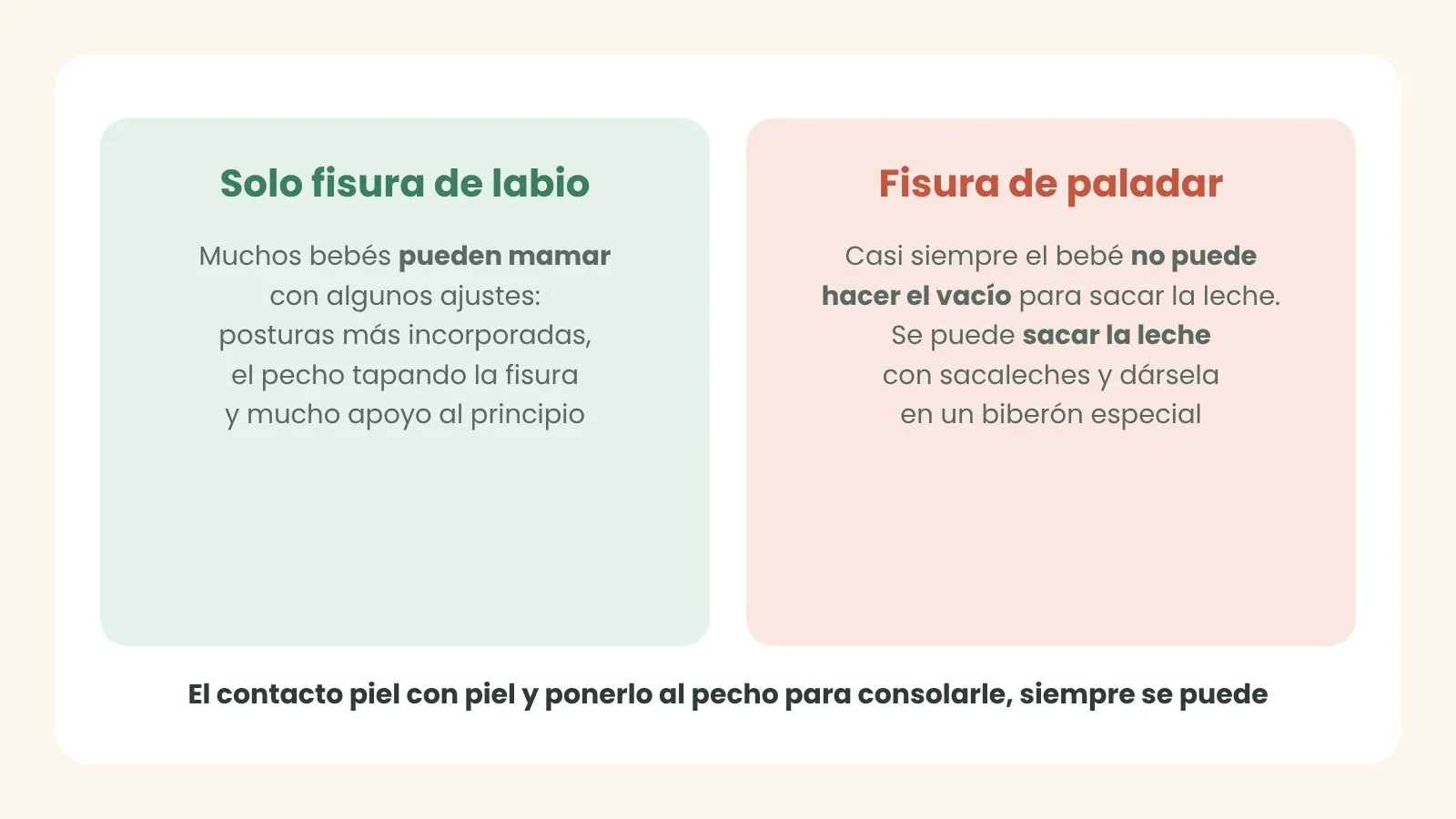 Qué cambia según la fisura sea solo de labio o también de paladar. Ilustración: ASPANIF