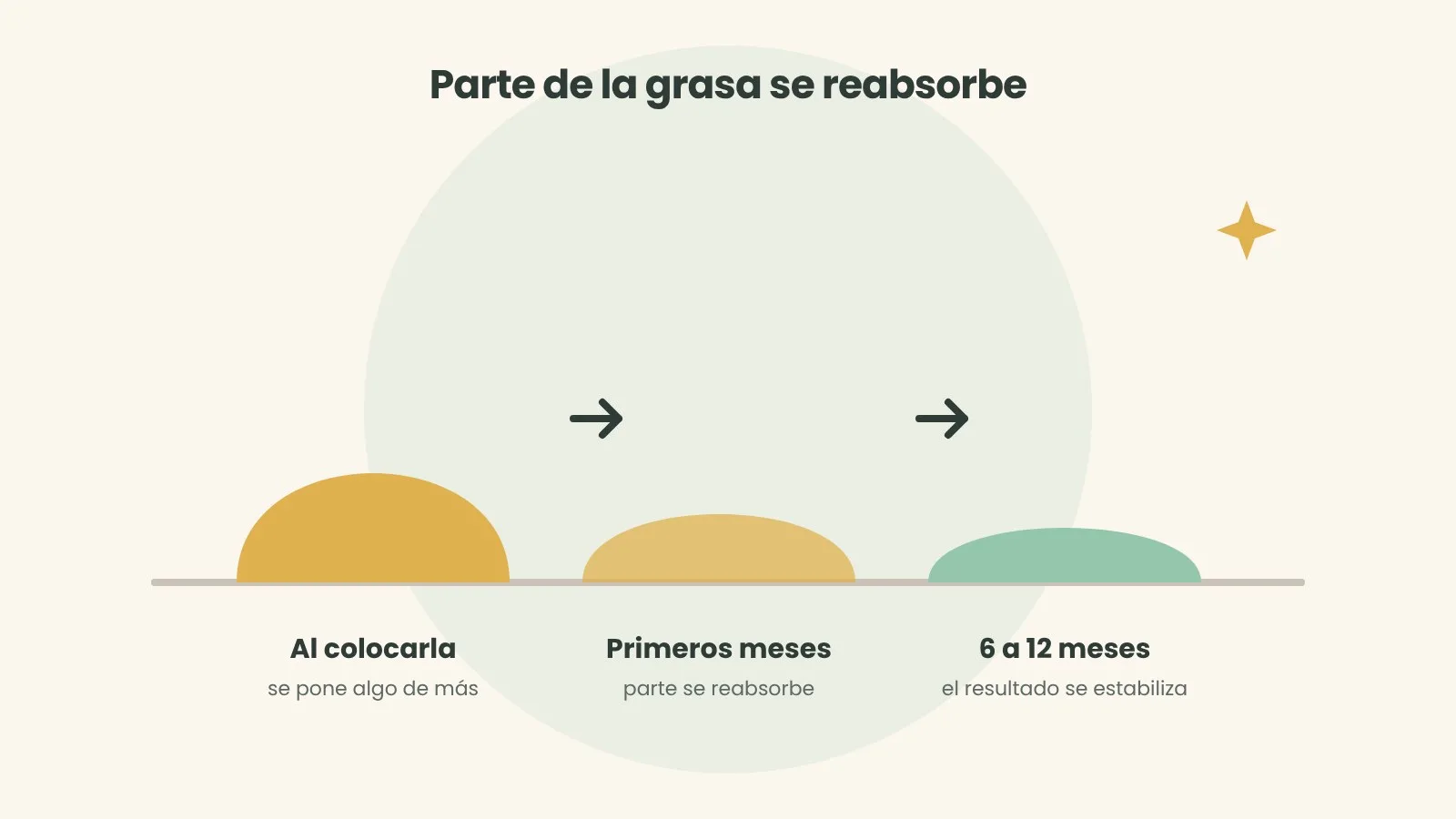 Qué pasa con la grasa con el paso de los meses. Ilustración: ASPANIF